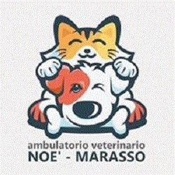 Ambulatorio Veterinario Noè Marasso (Castagnito CN)