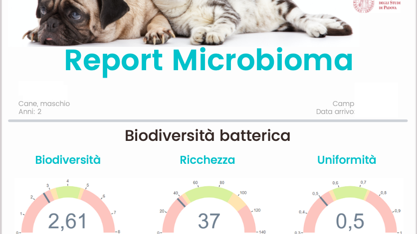 Report Test Microbioma Pet