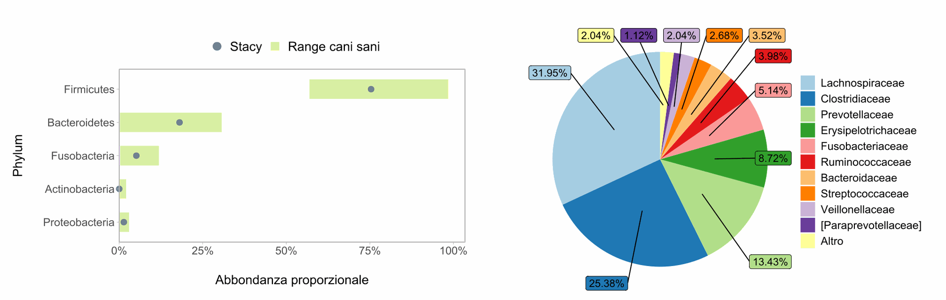 Profilo microbioma cane: phylum