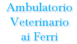 Ambulatorio veterinario ai Ferri (Albignasego PD)
