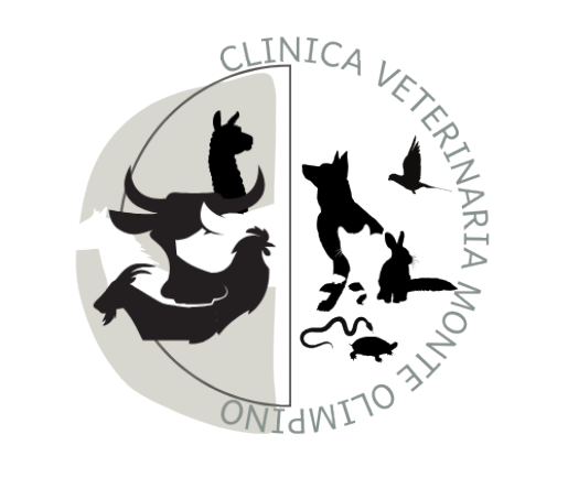 Veterinari monte olimpino 